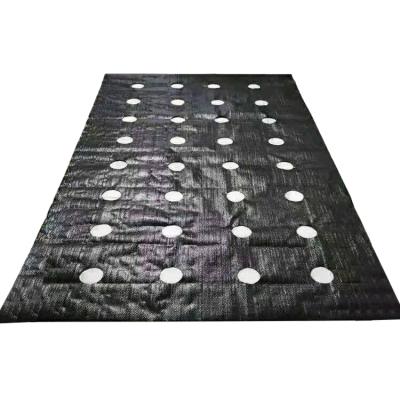 China High Denstity Weaving 100gsm Perforated Black Weed Mat Fabric Ground Cover for sale