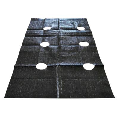 China High Denstity Weaving 90gsm Perforated Black Weed Mat Fabric Ground Cover for sale