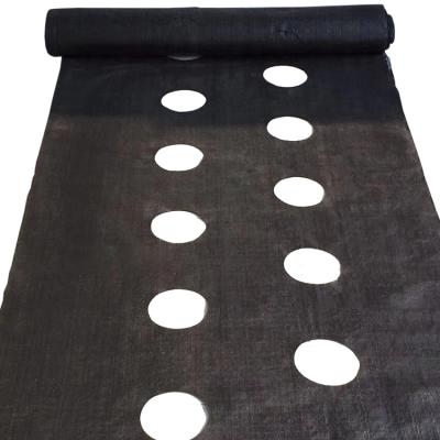 China High Denstity Weaving 80gsm/90gsm/100gsm Perforated Black Weed Mat Fabric Agriculture Ground Cover for sale