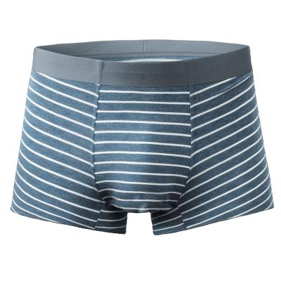 China Antibacterial comfortable underwear boxer briefs for men's teenage male fashionable striped boxer briefs for sale