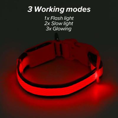 China Cuello de perro modificado para requisitos particulares del color LED USB recargable, cuello de perro casero de nylon del LED en venta