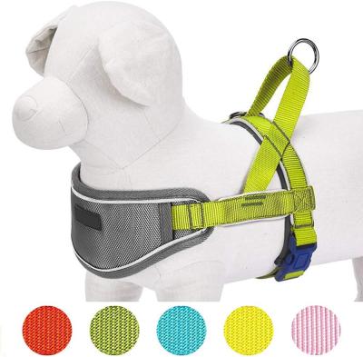 China 6 Sizes Option Nylon Dog Harness , Durable Neoprene Padded Dog Harness for sale