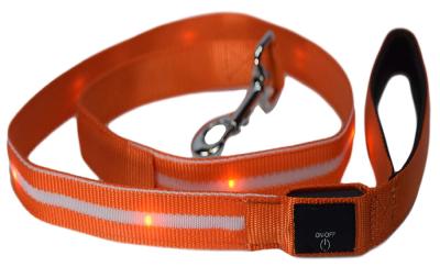 China Luxury LED Dog Leash With Flashlight , Durable Nylon Webbing Dog Leash for sale