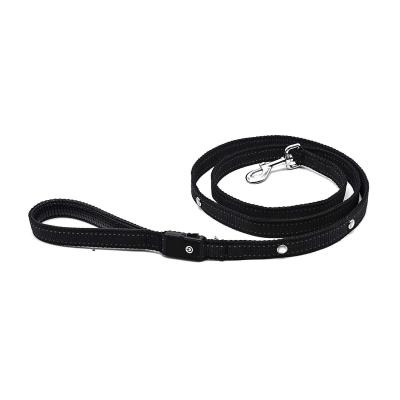 China Illumiseen LED Dog Leash USB Rechargeable Extra Long Weatherproof Eco Friendly for sale