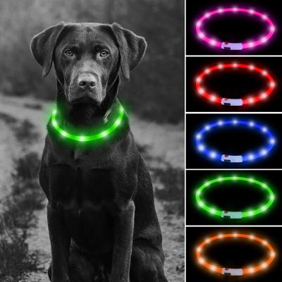 China Comfortable LED Dog Collar USB Rechargeable , Pet Glow Collars Flexible 360 Degree Visibility for sale