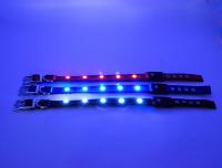 Cina USB ricaricabile impermeabilizza luminoso eccellente acceso dei collari di cane per la sicurezza di visibilità di notte in vendita