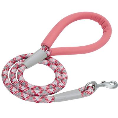 China 100% Polyester Material Nylon Rope Dog Leash Comfortable Multiple Color Option for sale