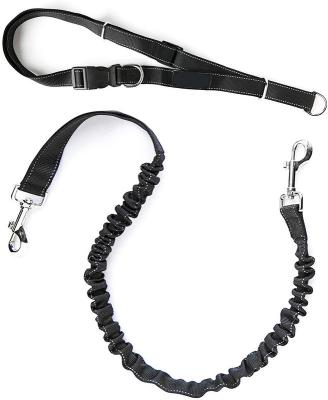 China Lightweight Reflective Dog Leashes 100% Nylon Eco Friendly Bungee Dog Leash for sale