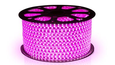 China Waterproof 220V Input Directly 50m Coloured LED Strip Lights for sale