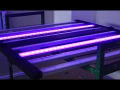 Full Spectrum Foldable Market Leading PPF 2.6-2.9 Umol/J 720W 800W Led Grow Light