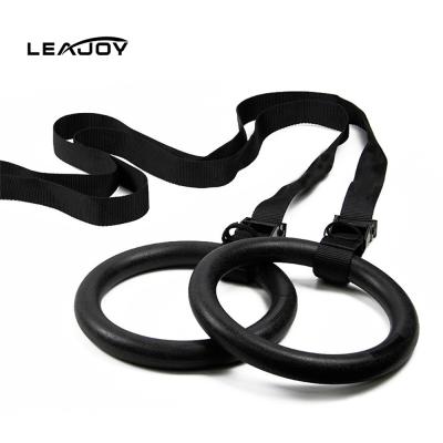 China Gymnastics Gym Plastic Rings For Upper Body Strength And Bodyweight Exercise for sale