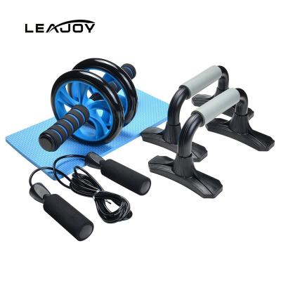 China Durable Home Dual Roller Exercise Combination Equipment Gym Abdominal Wheel for sale