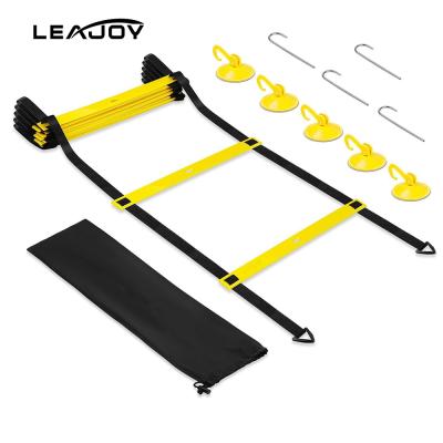 China Durable Outdoor Exercising Agility Ladder With Adjustable Training Cones Ladder for sale