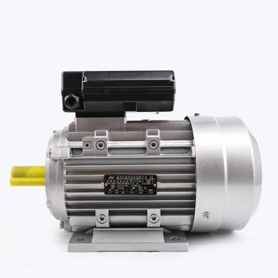 China Totally Enclosed MY Series 2.2kw Single Phase Capacitor Asynchronous Electric AC Motor with Aluminum Housing for sale