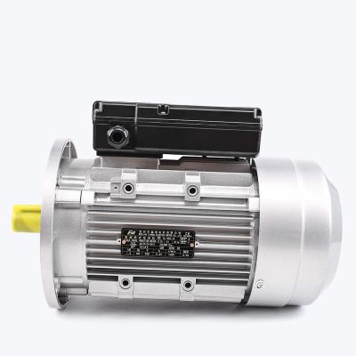 China ML Series Speed ​​Control Explosion Proof 1 Hp Single Phase Ac Asynchronous Electric Motor With Aluminum Housing for sale