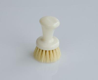 China Durable Round Coconut Fiber Scrub Dish Brush with Short PP Handle for sale