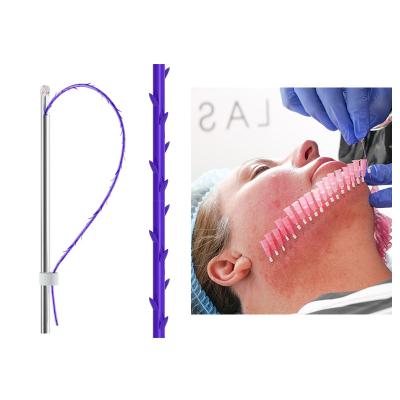 China Wholesale Adult Beauty Face Lift Cosmetic Chin V Line Strong pdo 19G 100mm Thread Lift 6D With W Cannula for sale