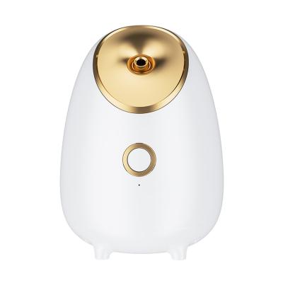 China 2021 New Style Personal Care Portable Electric Home Use Mist DEEP CLEANSING Nano Ionic Facial Steamer for sale