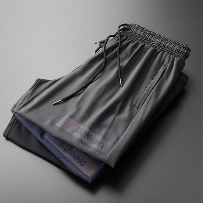 China Factory direct sales QUICK DRY sports shorts summer men's straight section casual shorts large thin breathable rope yards for sale