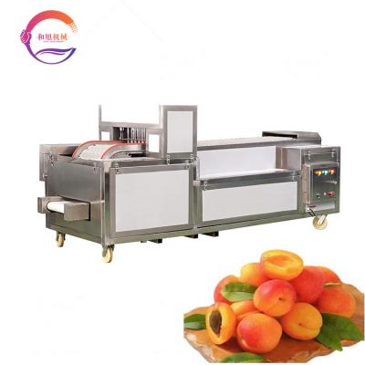 China Plum SUS 304 Automatic Apricot Fruit Pitting Core Removing Apricot Kernel Pitting Machine for sale