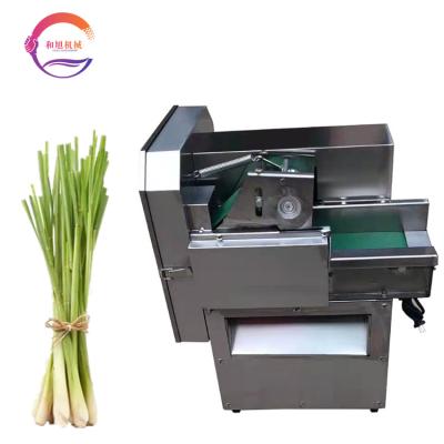 China Desktop Snack Plant Cutter Lemongrass Slicing Machine Automatic Herbal Slicer Small Slicing Machine for sale