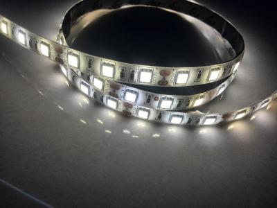 China White 5050 24V LED strip flexible light 60 leds/m,5m/lot Roll 300SMD IP65 Waterproof 12V high LUMEN JALN7 for sale