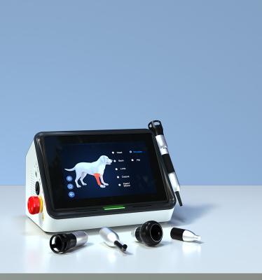 China 300+ Treatment Protocols Hot Sale Handheld Veterinary Low Level Laser LLLT Whole Body Pain Relief Instrument for Cats Animals for sale