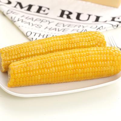 China Fresh Waxy Fresh Corn On The Cob Vacuum Packed Cook And Eat Non-GMO Original Chinese Flavor for sale