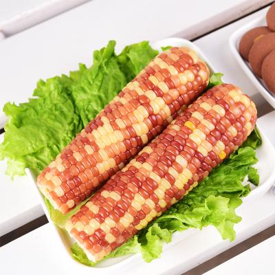 China Fresh mottled squishy corn on the cob with vacuum packaging for sale