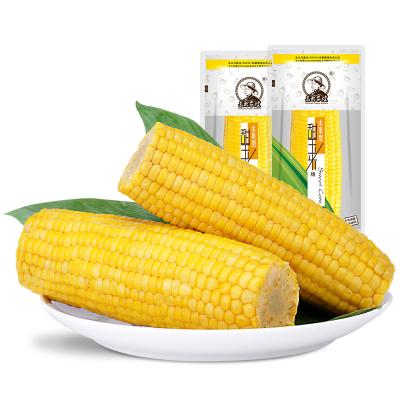 China Canned 2018 Northeast China Hot Selling Yellow Sweet Corn Cobs for sale