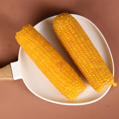 China Fresh Bulk Fresh Waxy Maize Yellow Waxy Corn Cob Top Style for sale