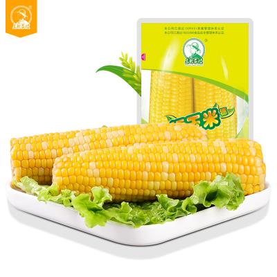 China Fresh High Quality Plates Fresh Yellow Waxy Corn Double Vacuum Packing for sale