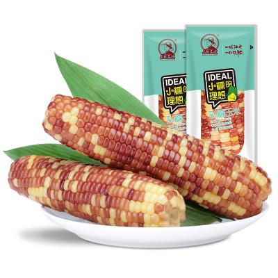 China Fresh Fresh Vacuum Packing Vegetable Mottled Single Waxy Corn Cob for sale