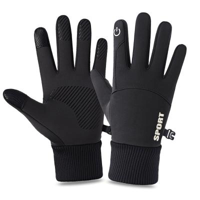 China Comfortable Hot Selling Winter Sports Mountaineering Skiing Gloves Touch Screen Windproof Waterproof Climbing Gloves for sale