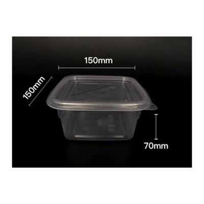 China Disposable Food Container PP Disposable Lunch Box Biodegradable Food Supply Take Out Box for sale