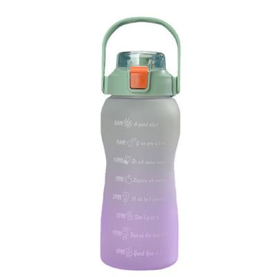 China Custom Logo Viable Cold Hot Motivational Plastic Insulated Water Bottles With Time Marker for sale