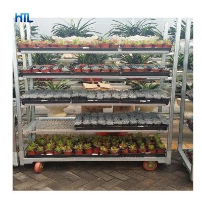 China Carrinho Para Transporte De Flores Storage/Garden Center/Plant/Florist/Carrelli Para Trasporto Piante Flower Display Trolley Logistics Transport for sale