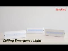 Recessed Ceiling Emergency Light LED 300lm 220V 5W IP20