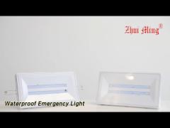 Rechargeable Waterproof Emergency Light Highlighting SMD LED IP65