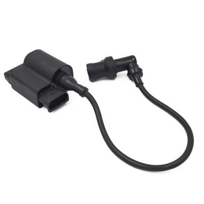 China Plastic High performance Motorcycle ignition coil cdi for PIAGGIO ZIP 50 for sale