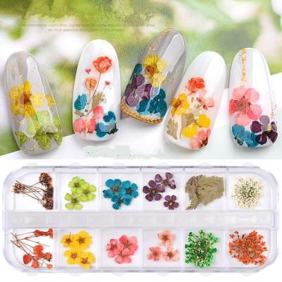 China 3d Nail Art DIY Packaging Wholesale Mixed Color Flower Nail Lace Decoration Mix 12 Grid Set Natural Dry Nail Dried Flower for sale