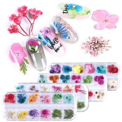 China 3d Nail Art DIY Decoration High Quality Design New Colorful Natural Dry Flower Nail Art DIY Decoration Mixed 12 Grids Set Nail Dried Flower for sale