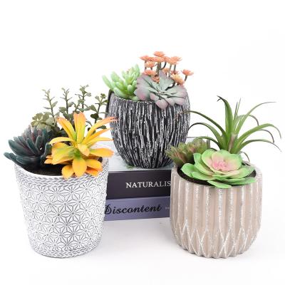 China Indoor outdoor decoration customized decoration potted 13cm cement pots mix colorful wholesale succulent plants for sale for sale