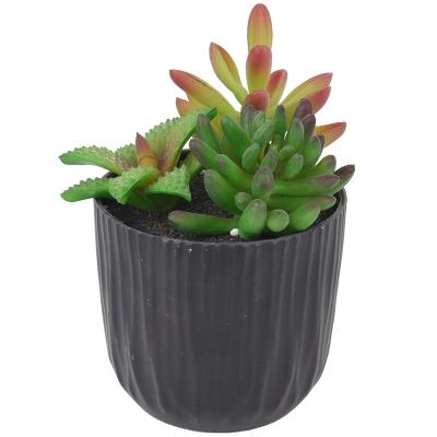 China Home Decor Plastic Artificial Succulent Customized Outdoor Indoor Luxury Cement Mini Decoration Cement With Pots for sale