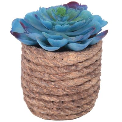 China Natural Artificial Face Indoor Outdoor Miniature Succulent Plant Pots Cement Decor Home Garden Decoration Set 13cm for sale