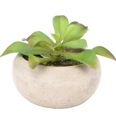 China HuiCai Green Garden Decor Round Shape Indoor Outdoor Cement Fake Potted Artificial Succulents Plants Set Indoor for sale