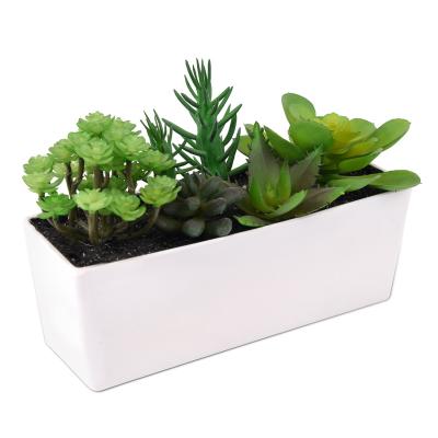 China HuiCai Indoor Outdoor White Ceramic Decoration Large Size Potted Artificial Green Plant BSCI BEPI GRS Plastic Certification for sale