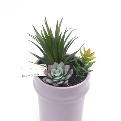 China Indor Decoration HuiCai Garden Indoor Outdoor Ornamental Artificial Plants Potted Succulents In Ceramic Pot for sale