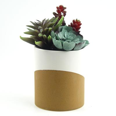 China Indoor Outdoor Decoration Customized Potted Artificial Succulent Plants Fake Bonsai Ceramic Bottom Color Doubles for sale