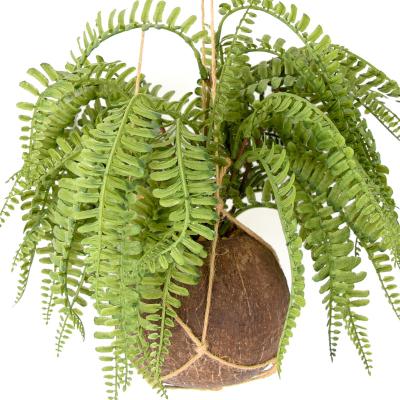 China Indor Decoration HuiCai Garden Fern Leaves Grass Coconut Shell Based Potted Wall Hanging Decor Artificial Plant for sale